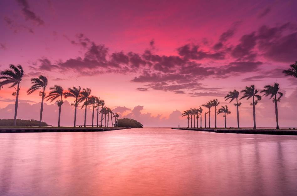 Pink sunset over water