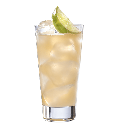 THE BELVEDERE MULE