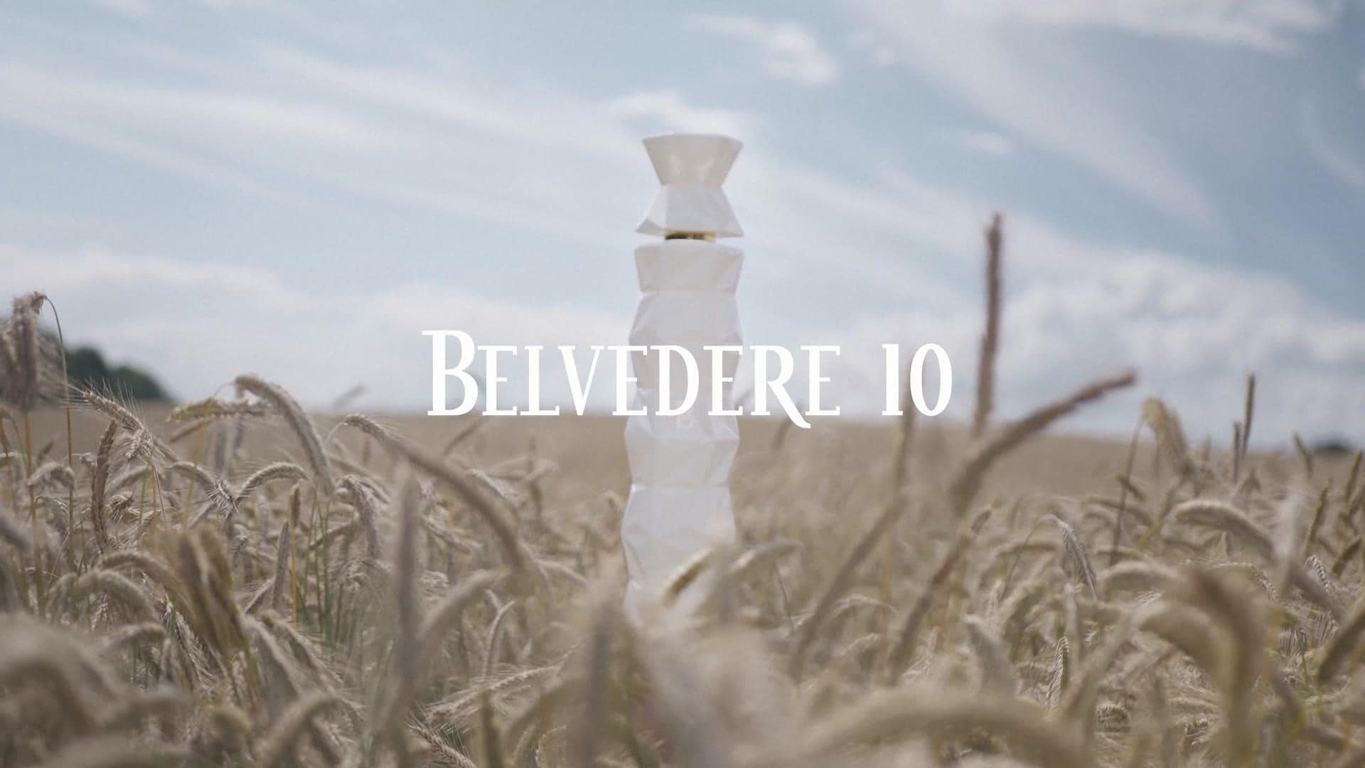Belvedere 10 bottle standing in a rye field