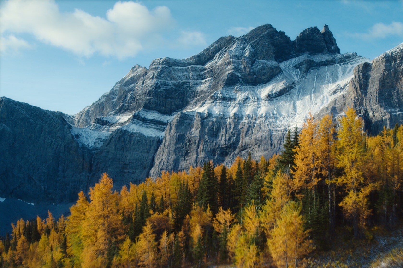 mountain and trees