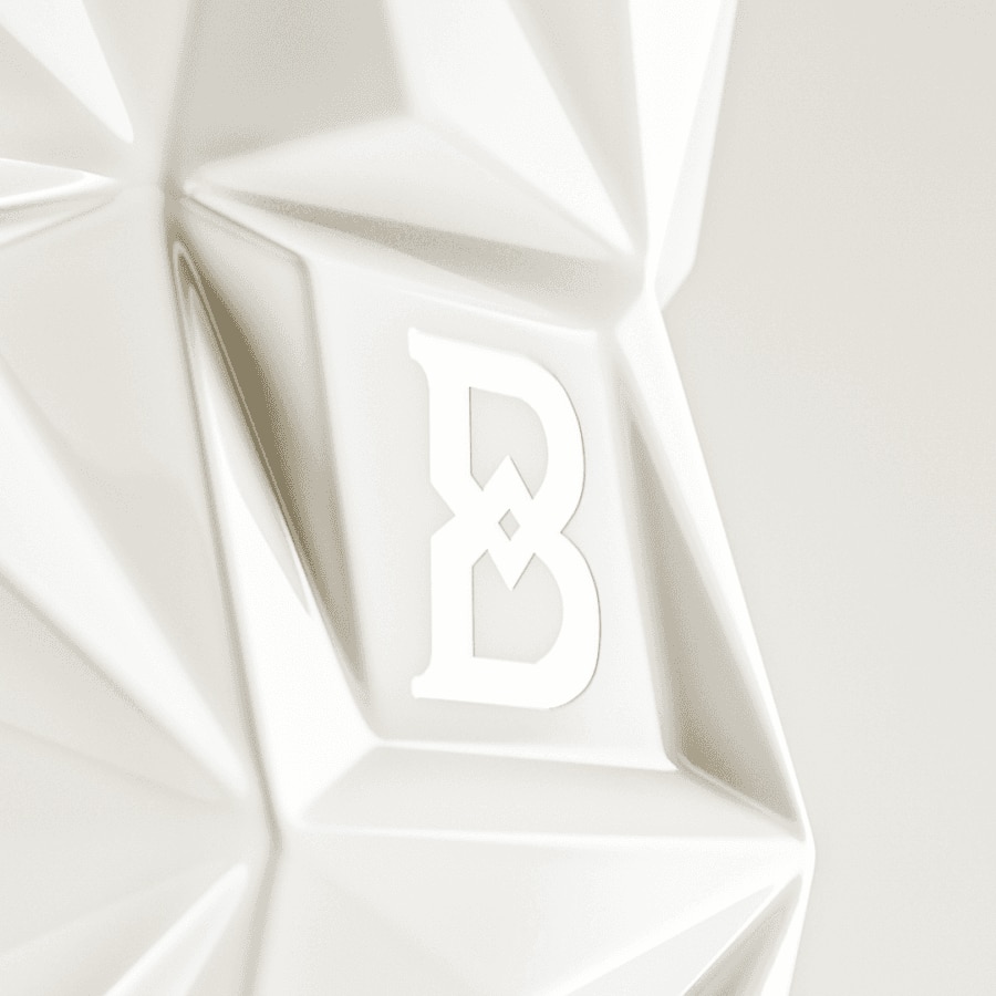 b10 bottle logo