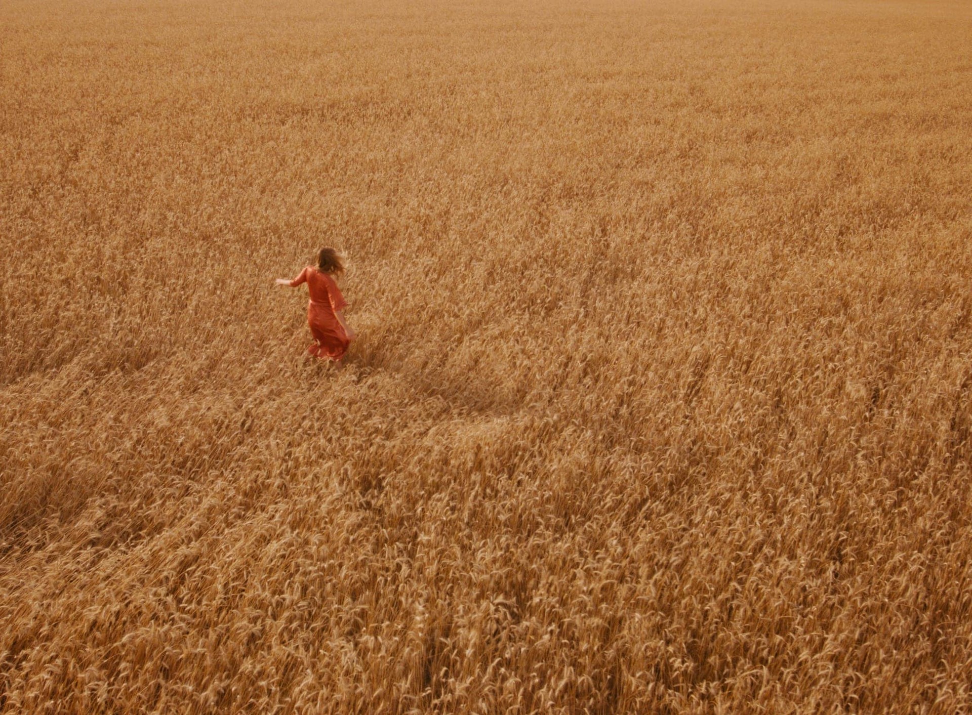 woman in rye field